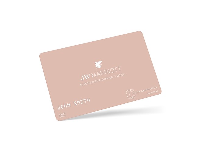 CLUB CONNOISSEUR BUSINESS