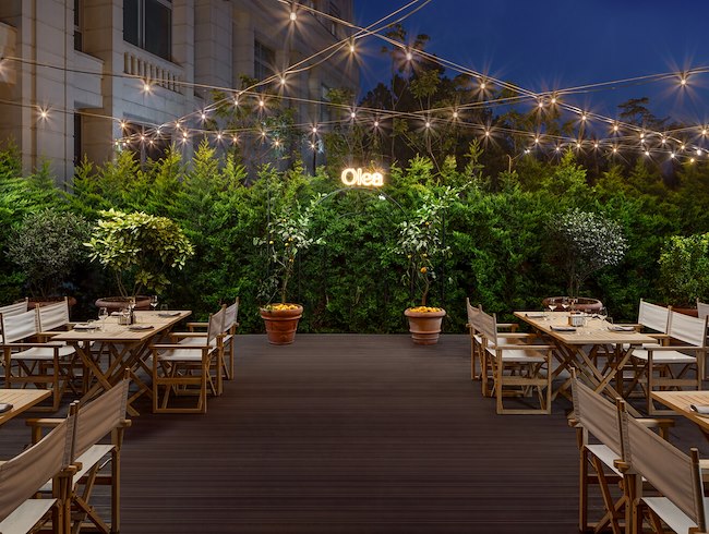 Levantine BBQ Nights